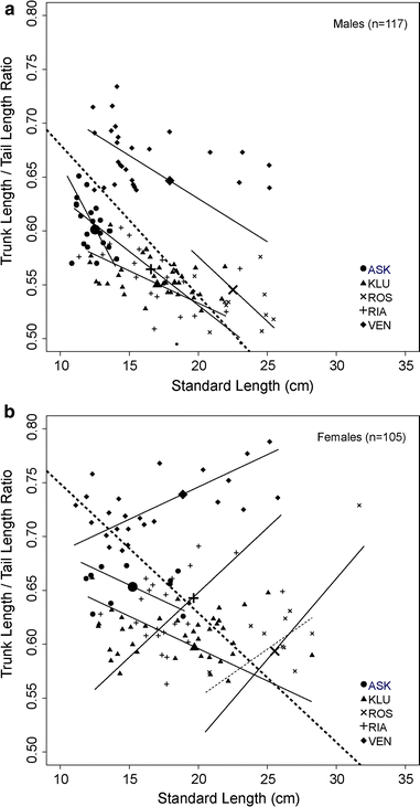 Figure 1 from Presence of the broad-nosed pipefish (Syngnathus