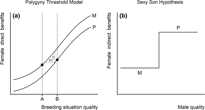 The neglected role of individual variation in the sexy son hypothesis |  SpringerLink