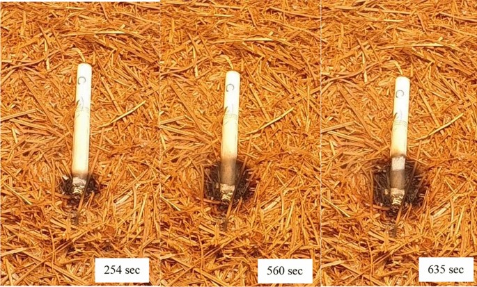 when did fire-safe cigarettes become standard Can “Fire Safe” Cigarettes (FSCs) Start Wildfires? | Fire Technology