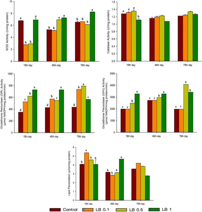 Effect of lemon balm (Melissa officinalis) extract on growth performance,  digestive and antioxidant enzyme activities, and immune responses in  rainbow trout (Oncorhynchus mykiss) | Fish Physiology and Biochemistry |  Springer Nature Link