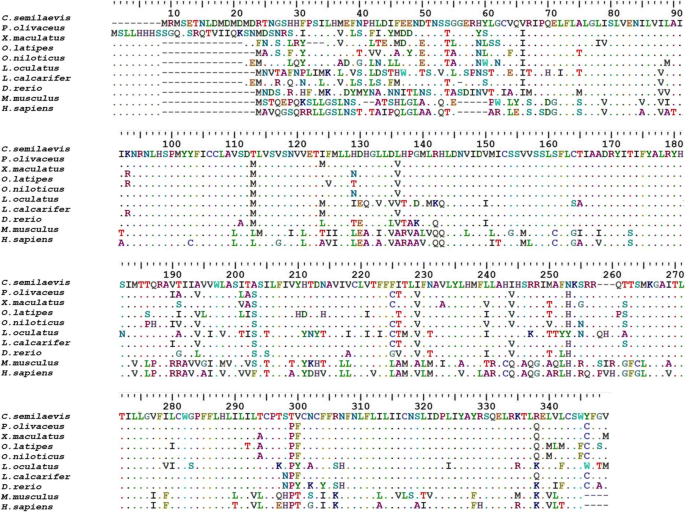 Identification And Characterization Of The Melanocortin 1 Receptor Gene Mc1r In Hypermelanistic Chinese Tongue Sole Cynoglossus Semilaevis Springerlink