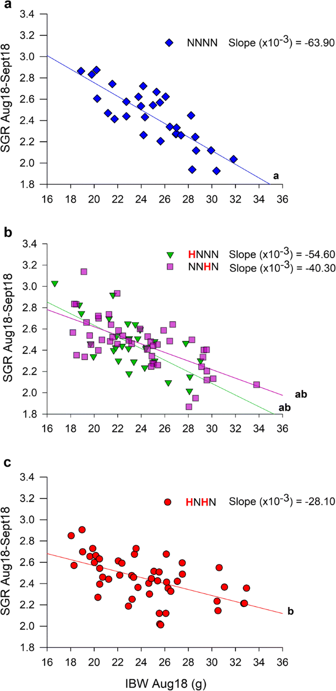 Effects Of Genetics And Early Life Mild Hypoxia On Size Variation In Farmed Gilthead Sea Bream Sparus Aurata Springerlink