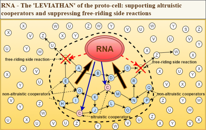 The Origins of Life: The Managed-Metabolism Hypothesis | SpringerLink