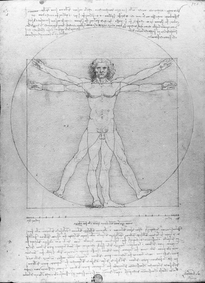 Vitruvian Man High-Res Vector Graphic - Getty Images