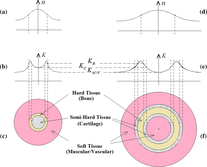 figure 41