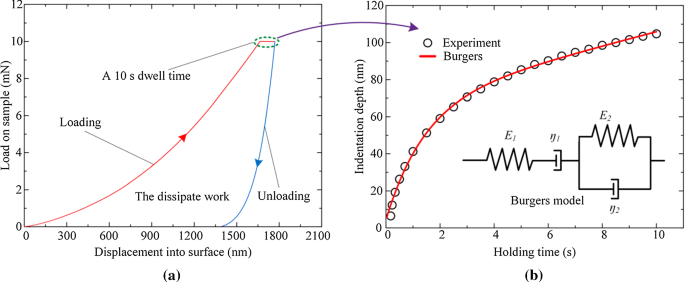 Equivalent circuit for single time constant model of tibia