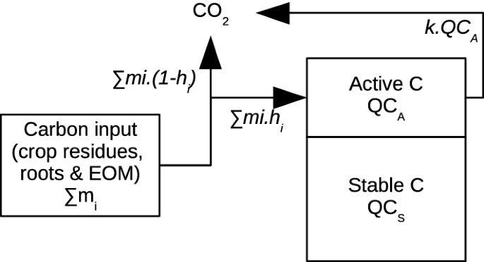 The simple AMG model accurately simulates organic carbon storage in soils  after repeated application of exogenous organic matter | SpringerLink