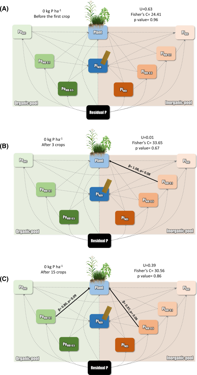 Plant Uptake Of Legacy Phosphorus From Soils Without P Fertilization Springerlink