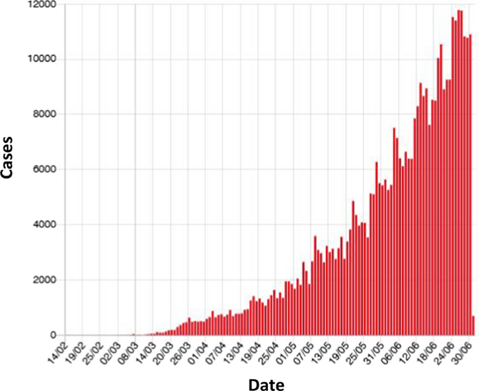 Early Geography Of The Coronavirus Disease Outbreak In Nigeria Springerlink