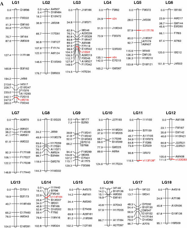 figure 1a