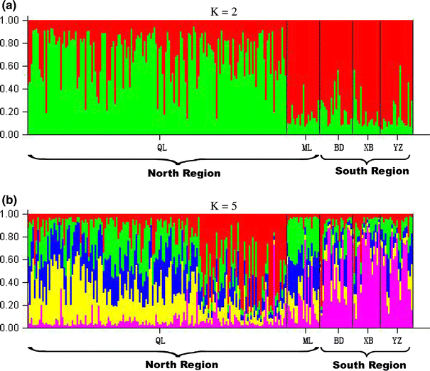 Fine And Landscape Scale Spatial Genetic Structure Of Cushion Rockjasmine Androsace Tapete Primulaceae Across Southern Qinghai Tibetan Plateau Springerlink