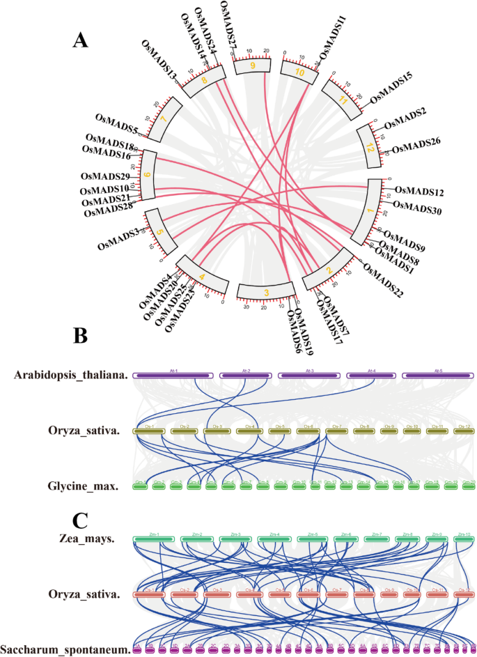 glutathione reductase decreased nadph oxidase ncbi Potential Role of Glutathione Antioxidant Pathways in the Pathophysiology  and Adjunct Treatment of Psychiatric Disorders