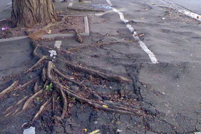 Recent Advances In Tree Root Mapping And Assessment Using Non Destructive Testing Methods A Focus On Ground Penetrating Radar Springerlink Recent Advances In Tree Root Mapping And Assessment Using Non Destructive Testing Methods A Focus On Ground Penetrating Radar Springerlink