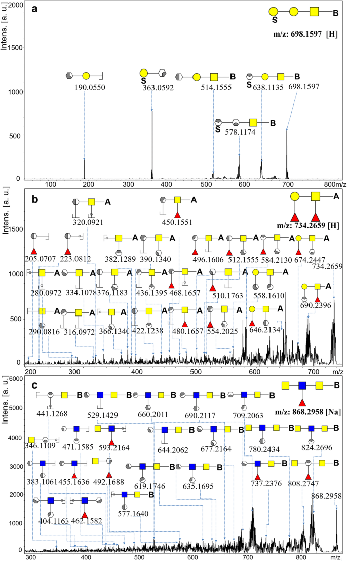 Abnormal Galactosylated Glycans Recognized By Bandeiraea Simplicifolia Lectin I In Saliva Of Patients With Breast Cancer Springerlink