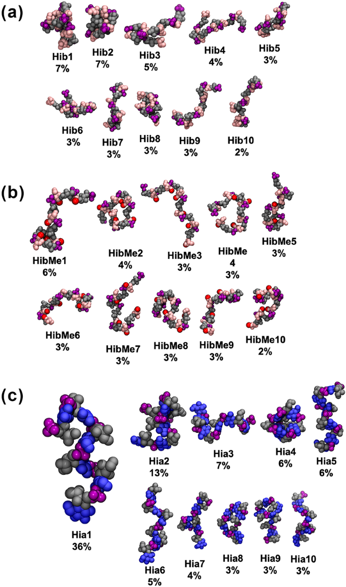 Cross-reactivity of Haemophilus influenzae type a and b polysaccharides:  molecular modeling and conjugate immunogenicity studies | SpringerLink