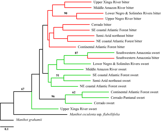 Genetic connectivity and population expansion inferred from multilocus  analysis in Lutjanus alexandrei (Lutjanidae–Perciformes), an endemic  snapper from Northeastern Brazilian coast [PeerJ]