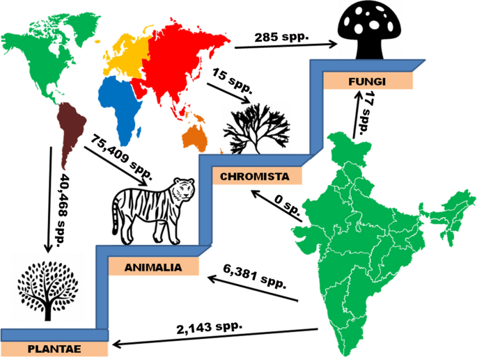Status and consolidated list of threatened medicinal plants of India |  SpringerLink