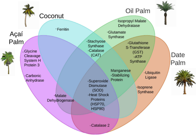 Molecular shields of the palm: proteomic insights into biotic stress in  arecaceae | Genetic Resources and Crop Evolution