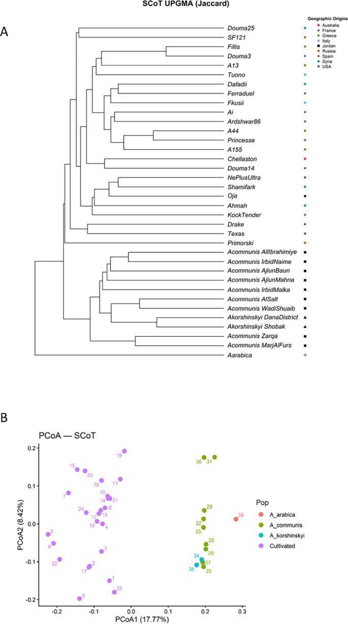 Genetic diversity and structure of cultivated and wild almond genotypes ...