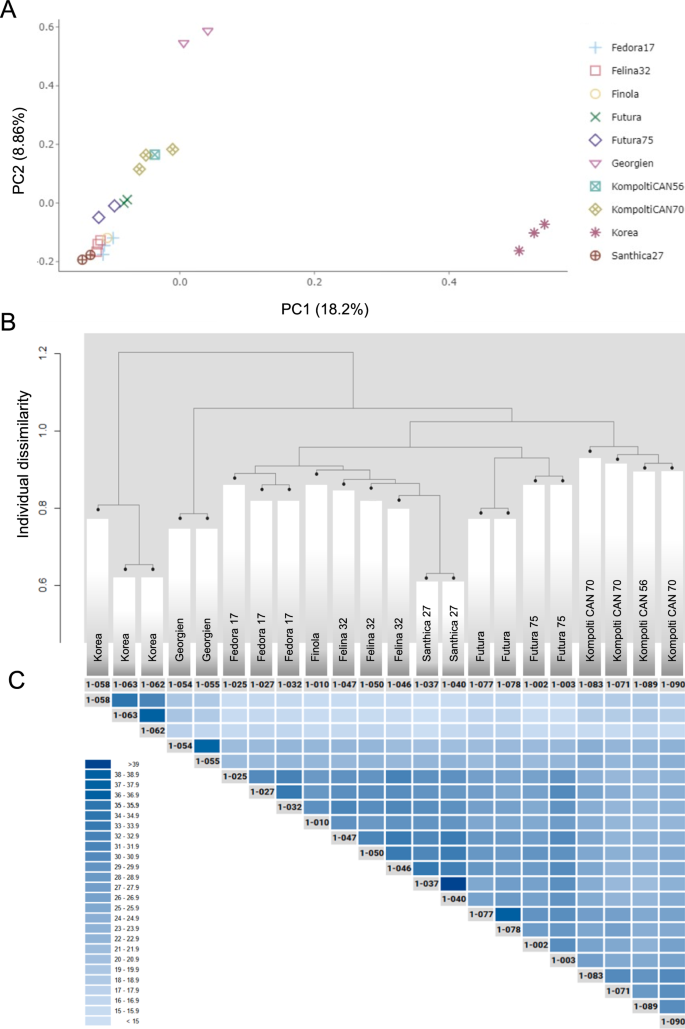 Exploring phenotypic and genetic variability in hemp (Cannabis sativa ...