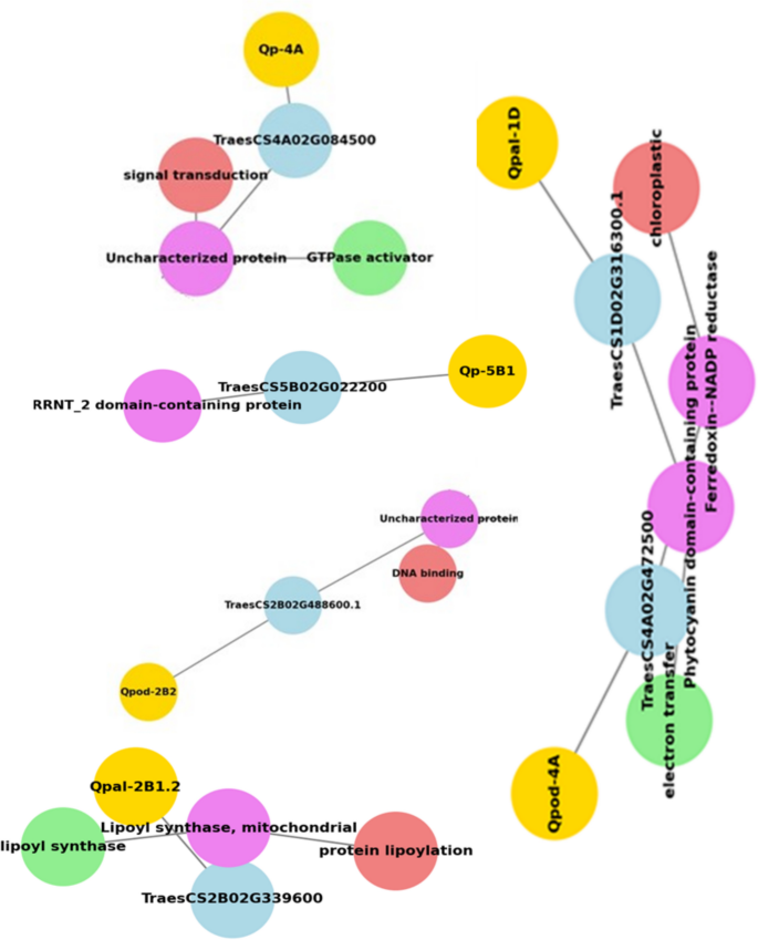 Identification of candidate genes in QTL regions for biochemical traits ...