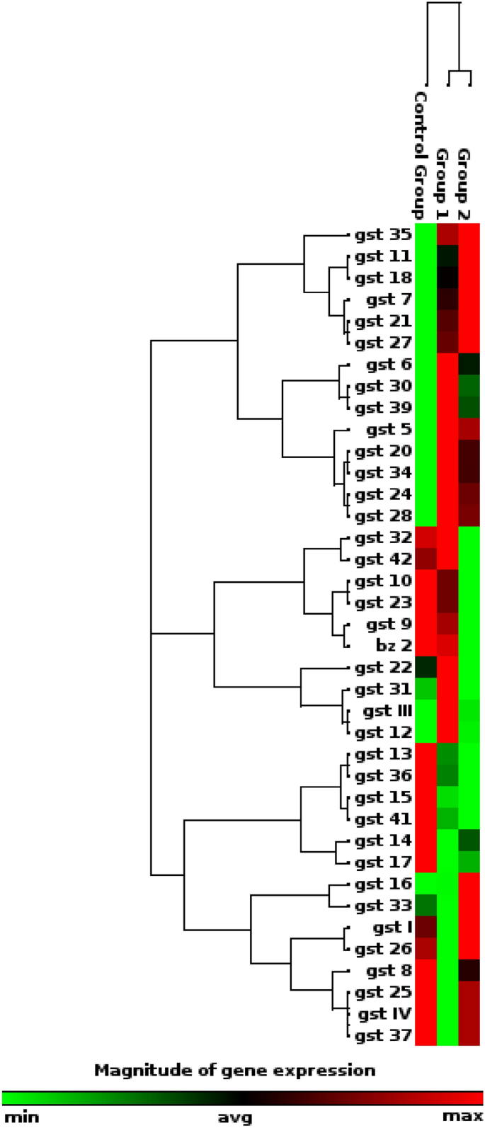 analysis of the glutathione s-transferase gst gene family Expression profile glutathione-S-transferase in response to Cu(OH)2 nanopesticide in maize | Plant Growth Regulation Cancer