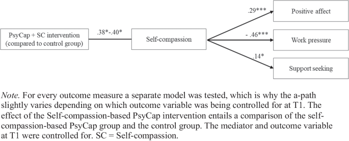 Be a hero, be your own best friend: a self-compassion-based PsyCap ...