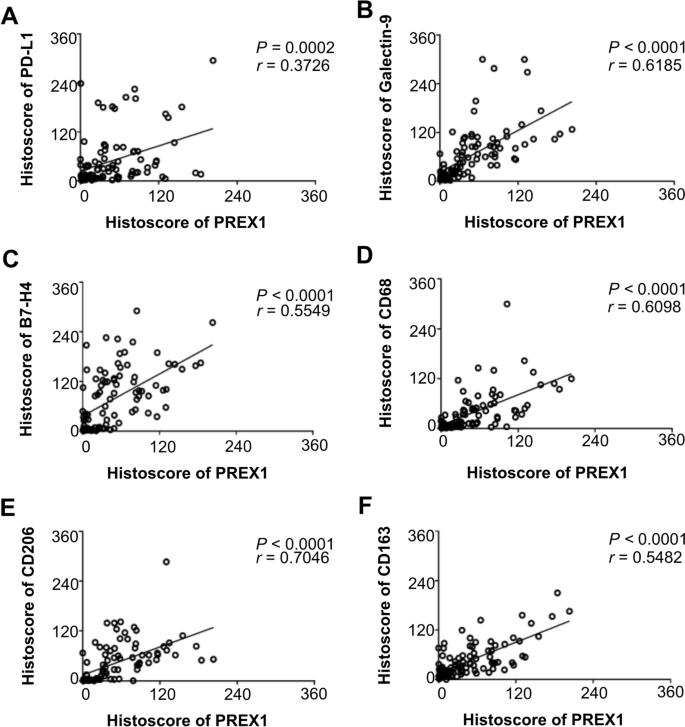 barrière extensible rétractable