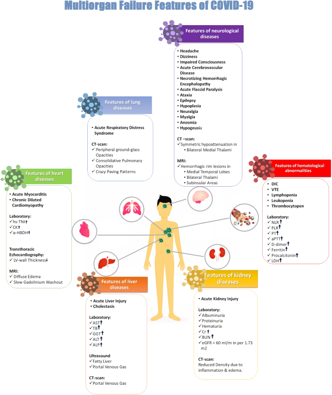 COVID-19 and multiorgan failure: A narrative review on potential mechanisms  | Journal of Molecular Histology