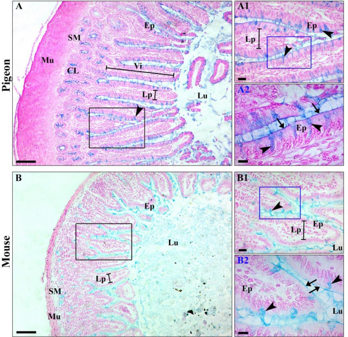 figure 11