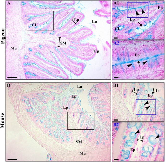 figure 17