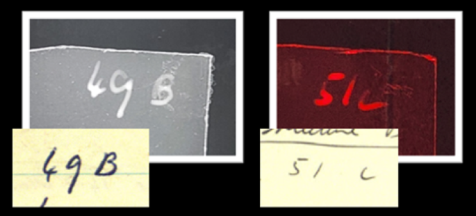 Fig. 4