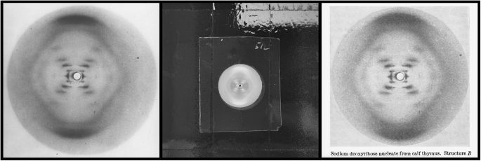 Fig. 5
