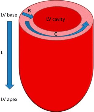 Strain imaging using cardiac magnetic resonance