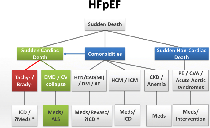 Sudden Death In Heart Failure With Preserved Ejection Fraction And Beyond An Elusive Target Springerlink