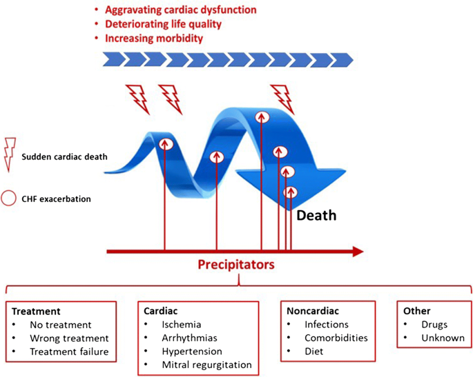 Acutely Decompensated Versus Acute Heart Failure Two Different Entities Springerlink