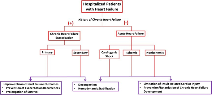 Acutely Decompensated Versus Acute Heart Failure Two Different Entities Springerlink