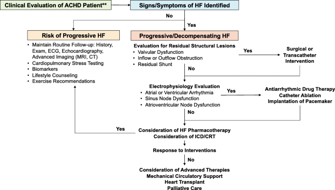 General Principles Of Heart Failure Management In Adult Congenital Heart  Disease | Springerlink