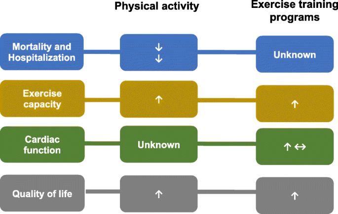 Physical Activity And Exercise Training In Heart Failure With Preserved Ejection Fraction Gathering Evidence From Clinical And Pre Clinical Studies Springerlink