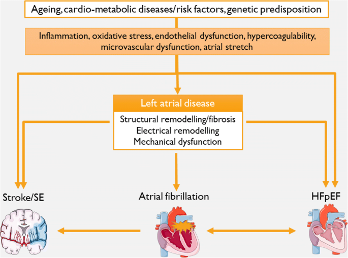 The Management Of Atrial Fibrillation In Heart Failure: An Expert Panel  Consensus | Springerlink