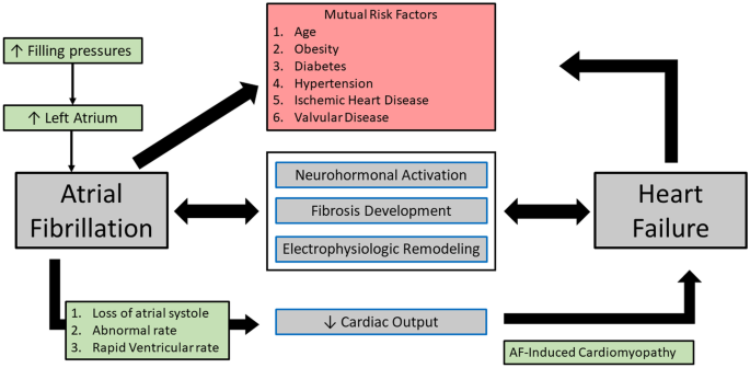 Heart Failure And Atrial Fibrillation: New Concepts In Pathophysiology,  Management, And Future Directions | Springerlink