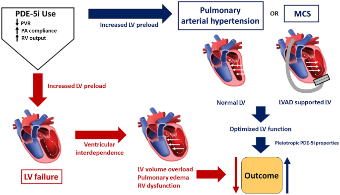 Therapeutic augmentation of NO-sGC-cGMP signalling: lessons 
