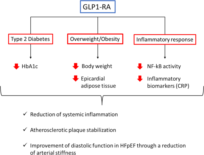 which glp 1 is best for inflammation GLP-1 receptor agonists as promising anti-inflammatory agents in heart  failure with preserved ejection fraction | Heart Failure Reviews