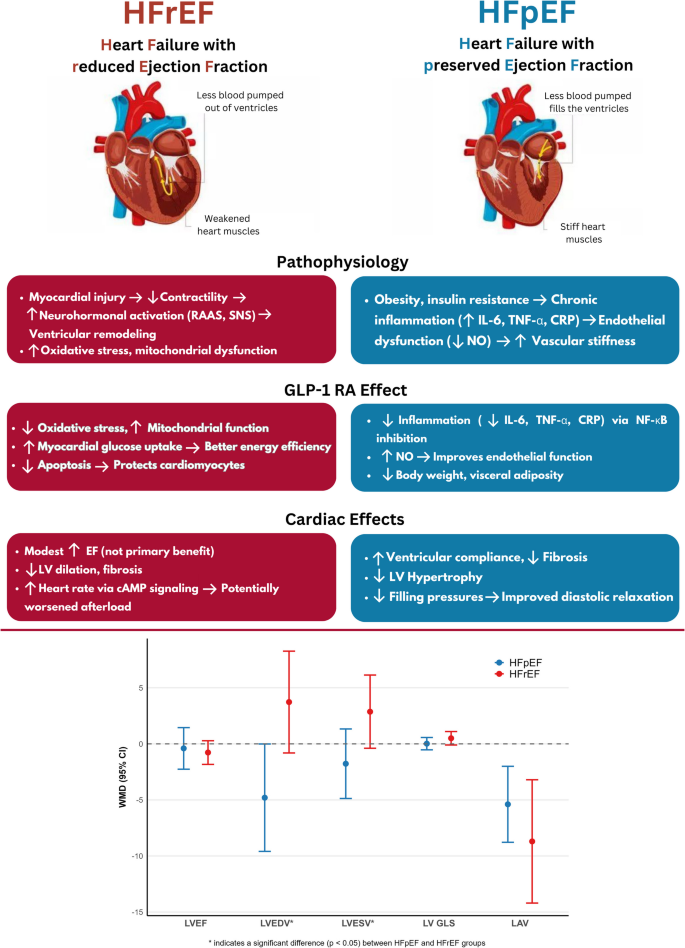 glp 1 and heart rate The effect of GLP-1 receptor agonists on cardiac remodeling in heart  failure patients with preserved and reduced ejection fraction: a systematic  review and meta-analysis | Heart Failure Reviews