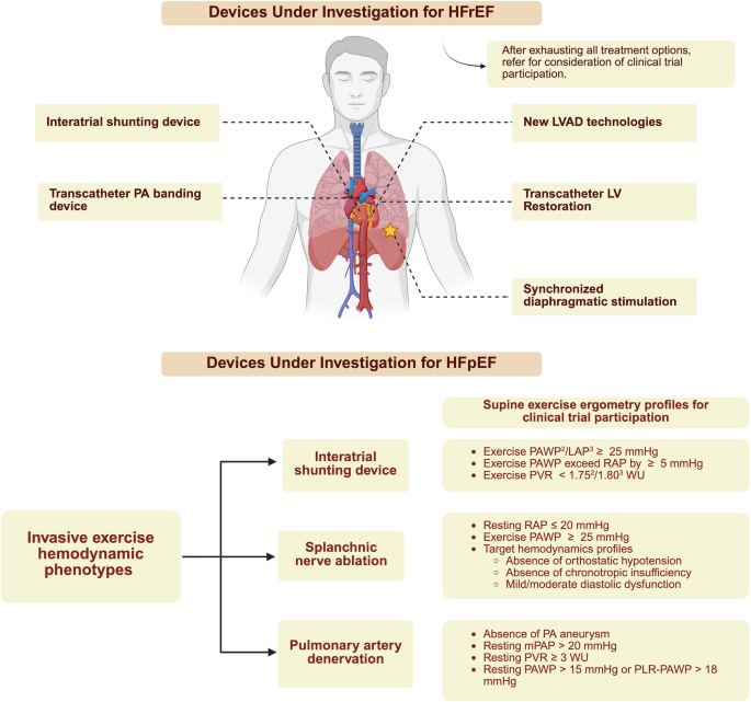 Phenotype-guided approach for device-based therapies in heart failure ...
