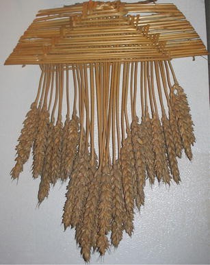 The Traditional Use of Plants for Handicrafts in Southeastern 