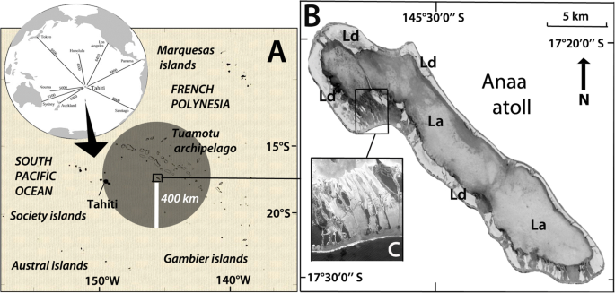 Sea Swallowers And Land Devourers Can Shark Lore Facilitate Conservation Springerlink