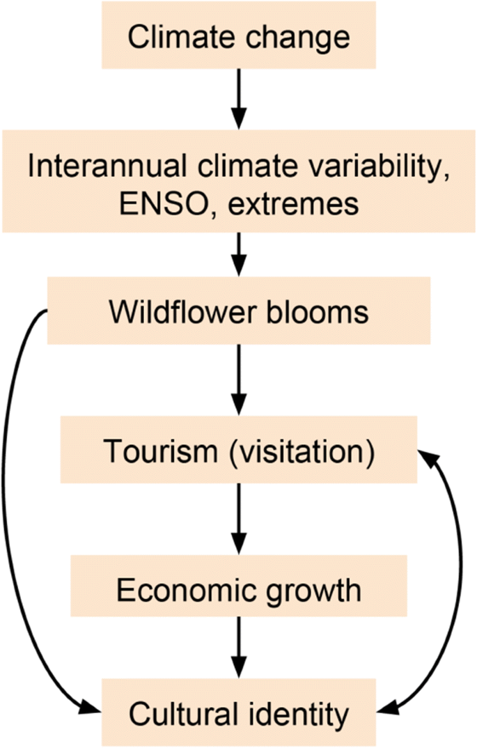 Tracing Extremes Across Iconic Desert Landscapes Socio Ecological And Cultural Responses To Climate Change Water Scarcity And Wildflower Superblooms Springerlink