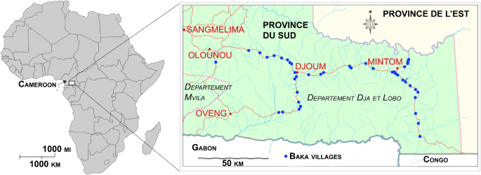 Understanding Growth And Malnutrition In Baka Pygmy Children Springerlink