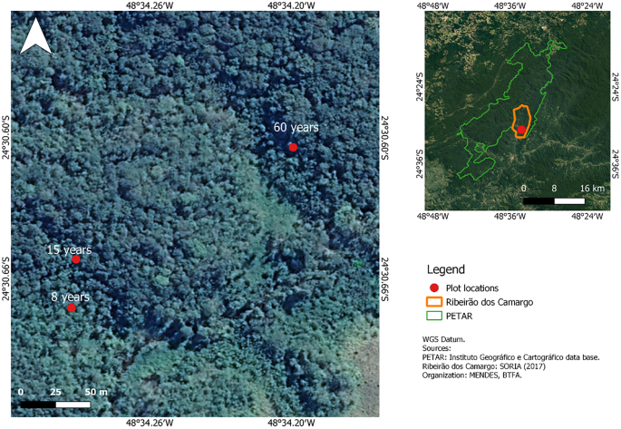 Impacts of Slash-and-Burn Cultivation on the Soil and Vegetation of the  Atlantic Forest in Southeastern Brazil | SpringerLink